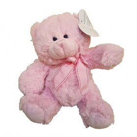 Λουτρινο Ροζ Αρκουδακι 25Cm - ΚΩΔ:Nb20-4035-Pk-Bb