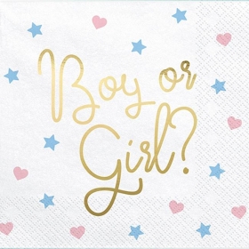 Χαρτοπετσετες 'Boy Or Girl' - ΚΩΔ:Sp33-78-Bb