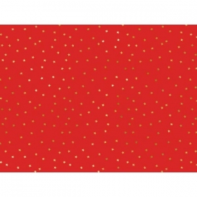 Χαρτί Περιτυλίγματος Κόκκινο Με Χρυσά Αστέρια 200cm - ΚΩΔ:PAP19-BB