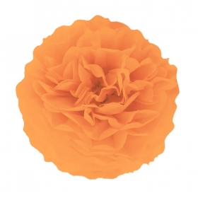 Διακοσμητικό πορτοκαλί Pom Pom 25cm - ΚΩΔ:511719-BB