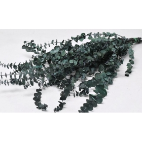 Αποξηραμένο πράσινο φυτό ευκάλυπτος 120gr 65cm - ΚΩΔ:981603