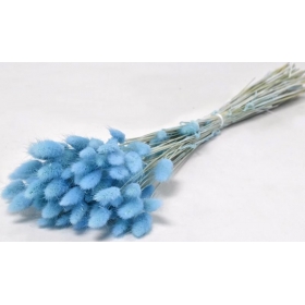 Αποξηραμένο φυτό lagurus μπλε 65cm - ΚΩΔ:952531