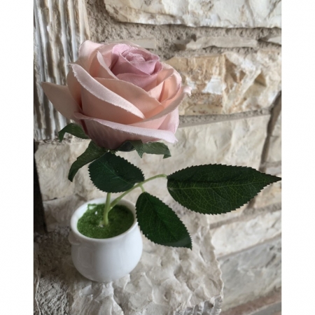 Τριανταφυλλο Ροζ Σε Γλαστρακι 17Χ7Cm - ΚΩΔ:L41-Rn