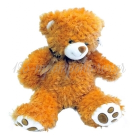 Λουτρινο Αρκουδακι 40Cm - ΚΩΔ:Br01282-Bb