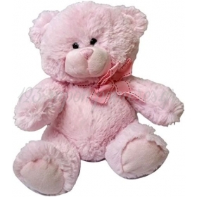 Λουτρινο Ροζ Αρκουδακι 25Cm - ΚΩΔ:Nb204035Pk-Bb