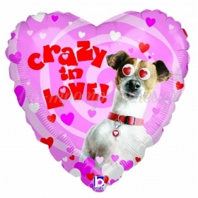 Μπαλονι Foil 53Cm Καρδια Με Σκυαλκι «Crazy In Love»- ΚΩΔ.:14024Ρ-Bb