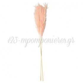 Pampas ροζ 80 cm - σετ 3 τμχ - ΚΩΔ:779909-NT