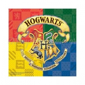 Χαρτοπετσέτες Harry Potter 33X33cm - ΚΩΔ:93366-BB