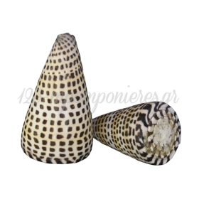 Κοχύλι conus leopardus 8-9cm - ΚΩΔ:001-1351A-WAV